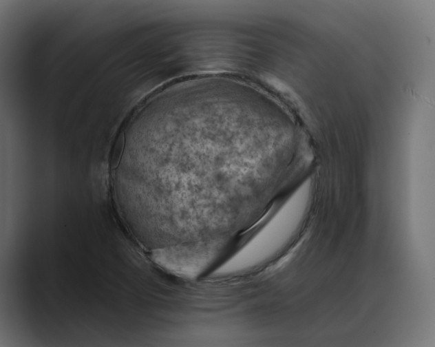X0000089381457200706291308