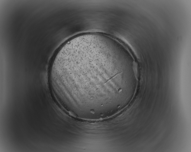 X0000089381460200706291308