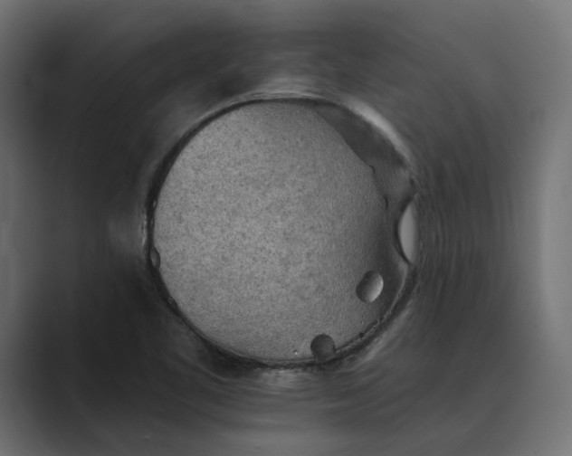 X0000089381461200706291308