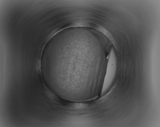 X0000089381465200706291308