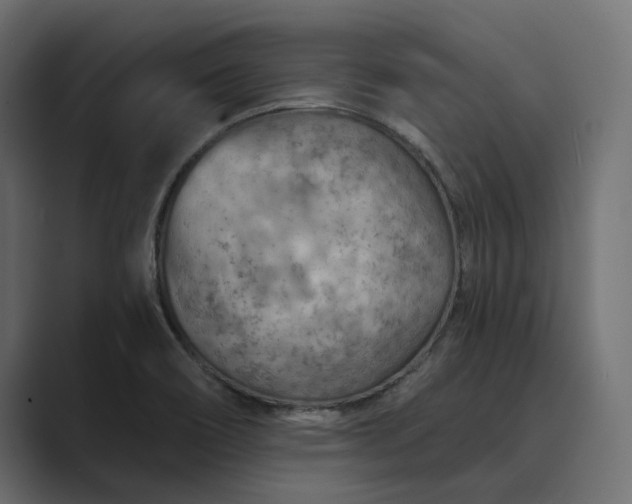 X0000089381466200706291308