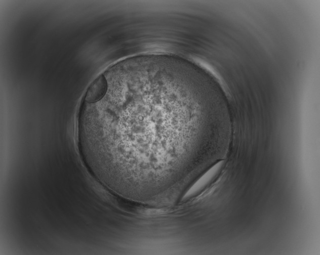 X0000089381467200706291308