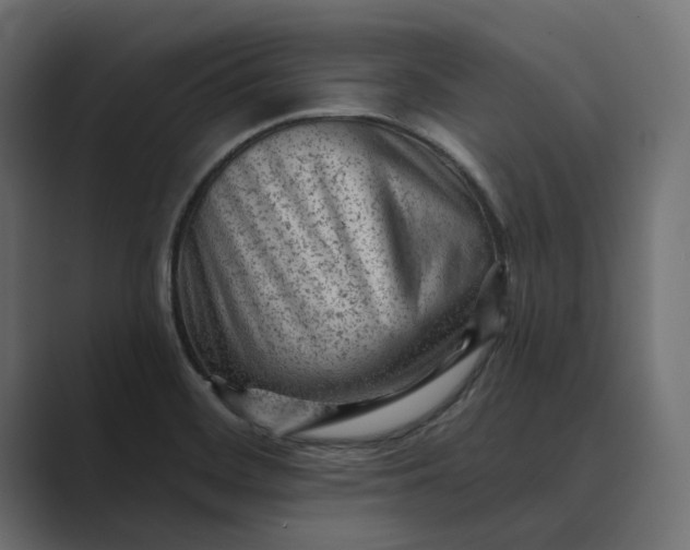 X0000089381468200706291308