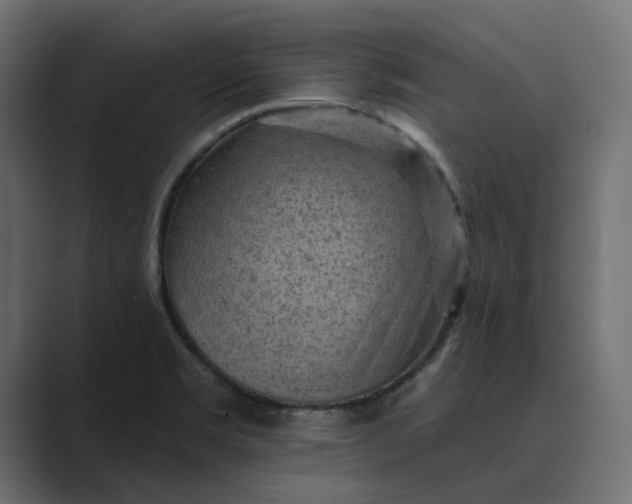 X0000089381469200706291308