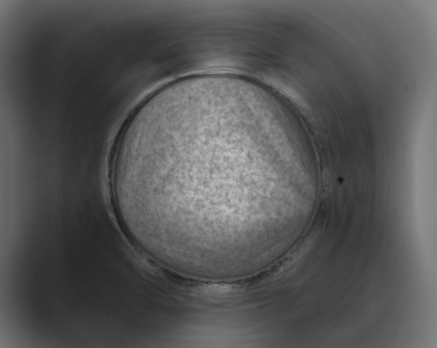 X0000089381470200706291308