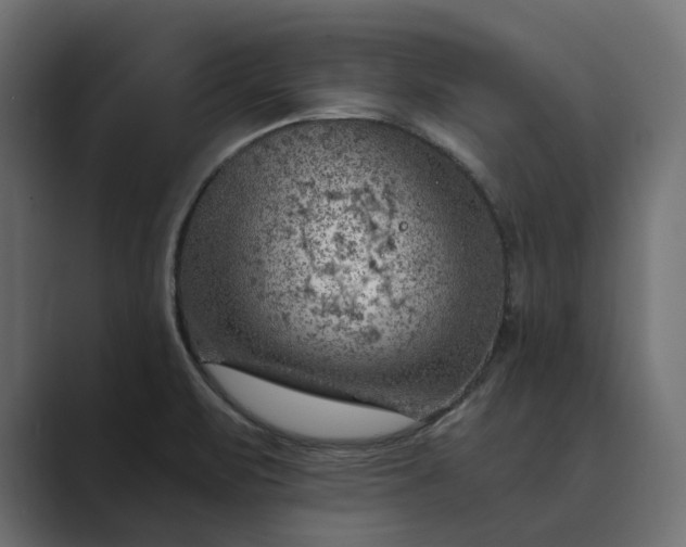 X0000089381471200706291308