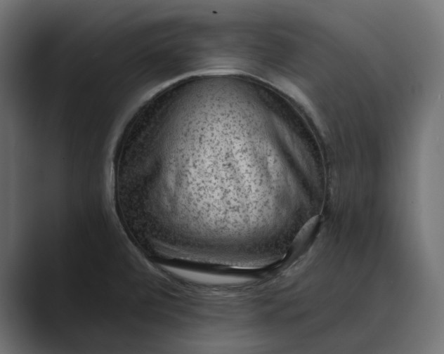 X0000089381472200706291308