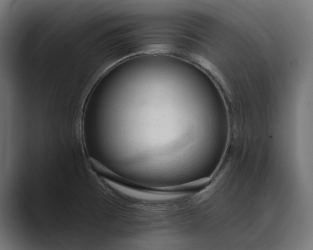 X0000089381473200706291308