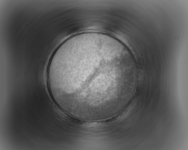 X0000089381474200706291308