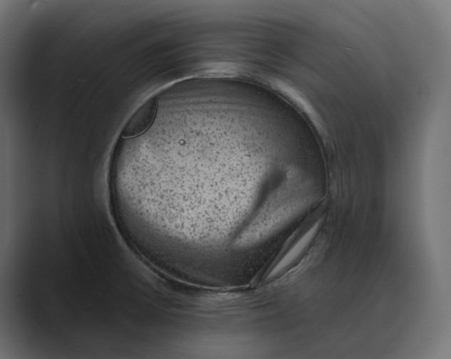 X0000089381475200706291308