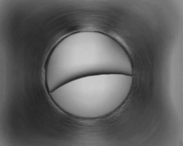 X0000089381476200706291308