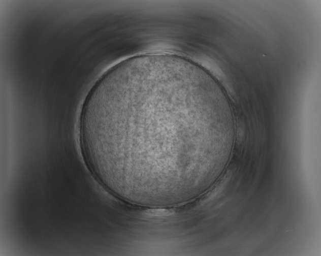 X0000089381478200706291308