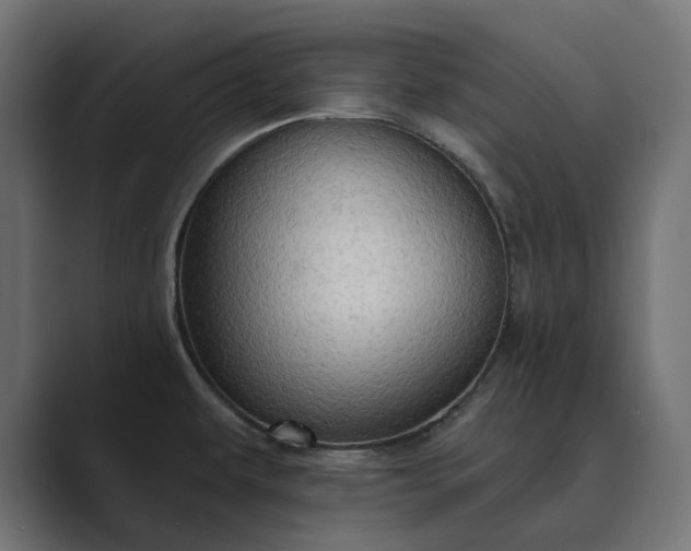 X0000089381479200706291308