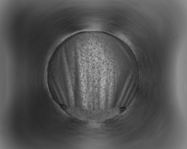X0000089381480200706291308