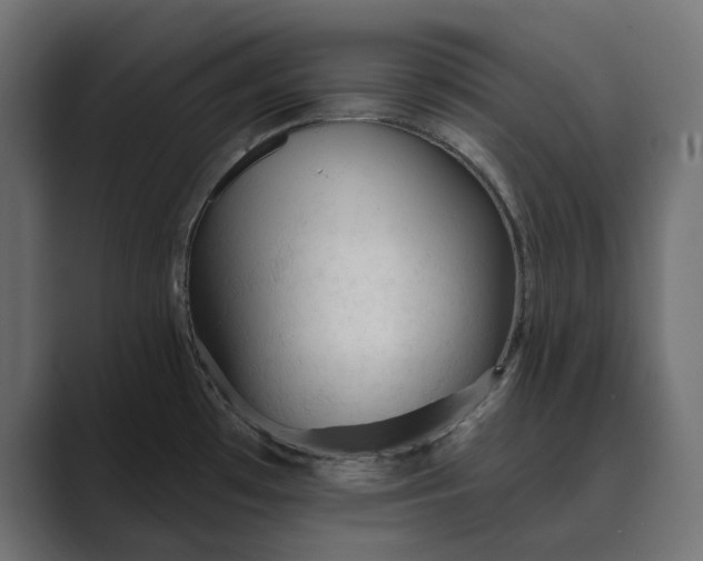 X0000089381481200706291308