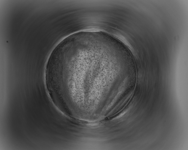X0000089381484200706291308