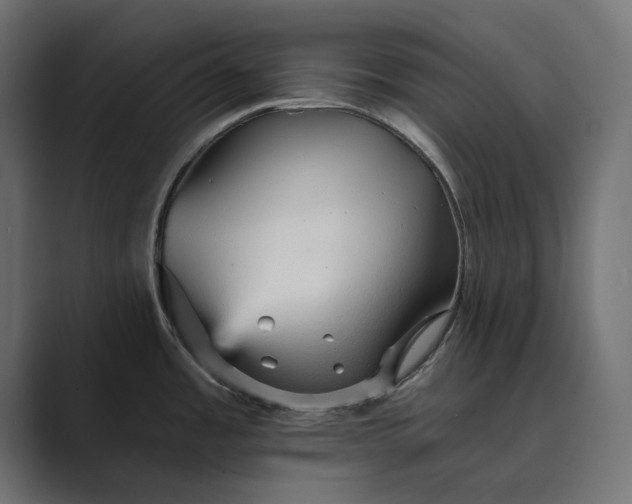X0000089381485200706291308