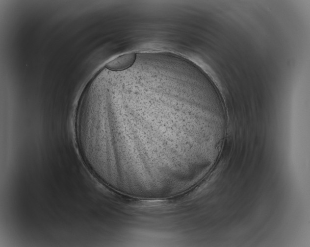 X0000089381486200706291308