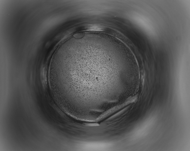 X0000089381487200706291308