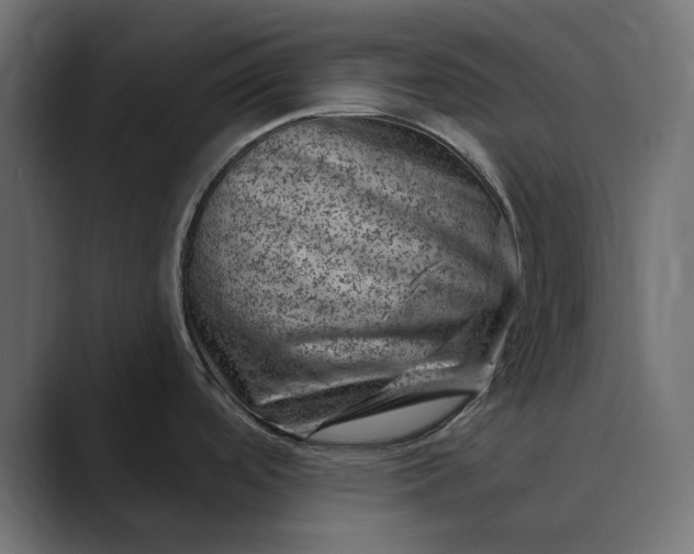 X0000089381488200706291308