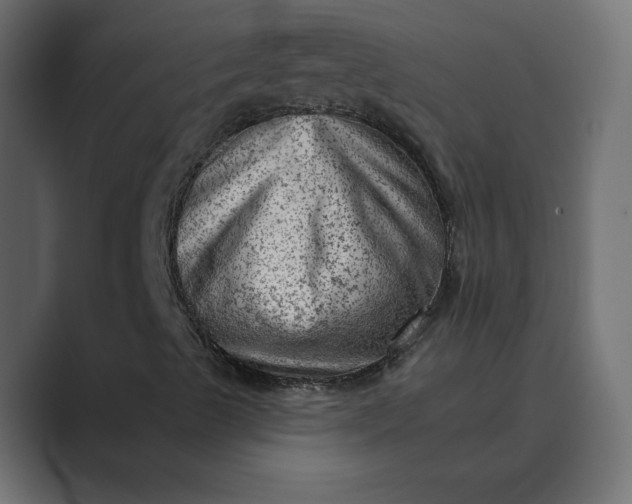 X0000089381489200706291307