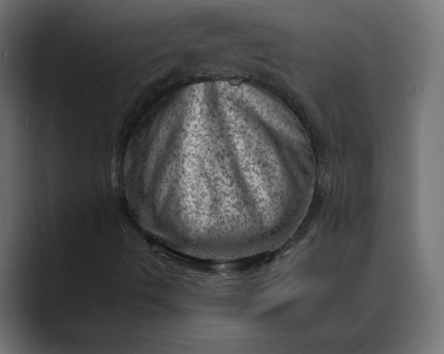 X0000089381490200706291307