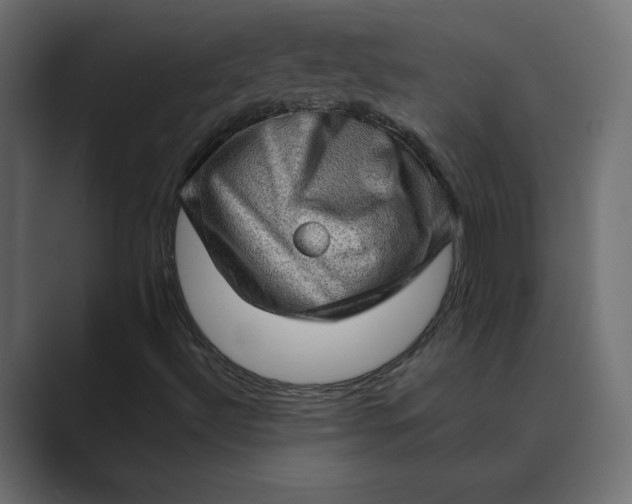 X0000089381492200706291307