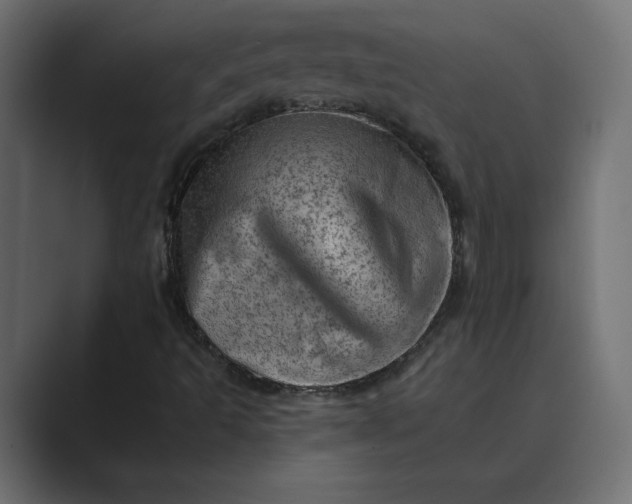 X0000089381493200706291307