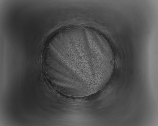 X0000089381494200706291307