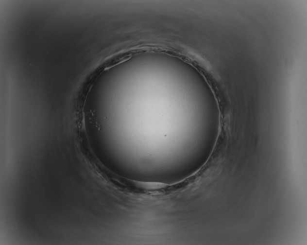 X0000089381496200706291307