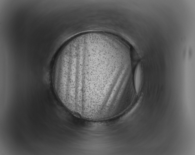 X0000089381501200706291307