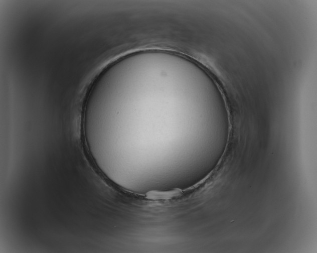 X0000089381504200706291307