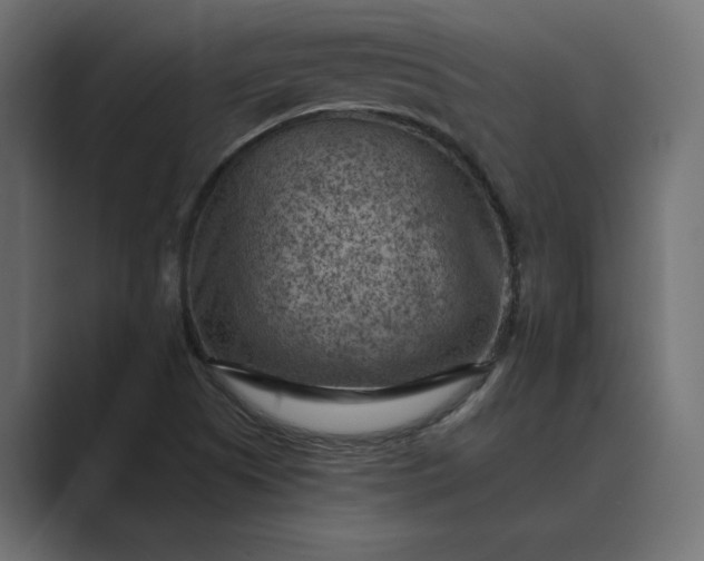 X0000089381505200706291307