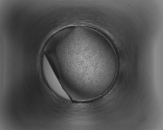X0000089381506200706291307