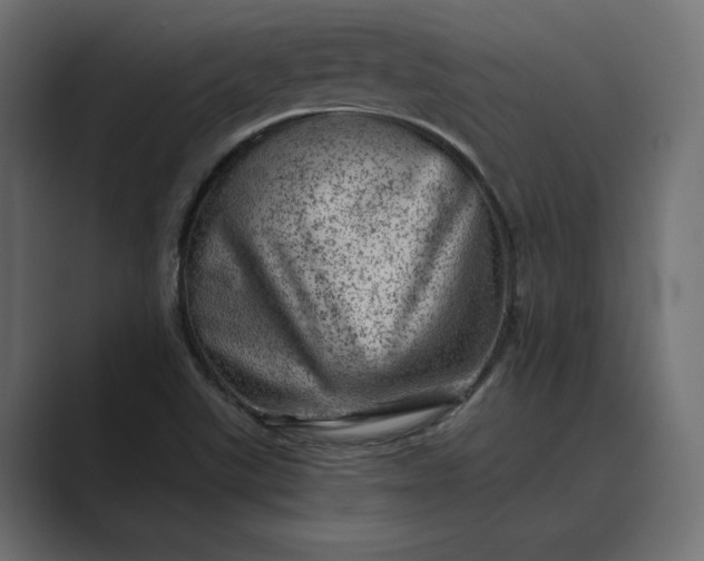 X0000089381507200706291307