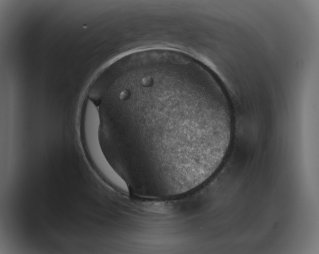 X0000089381508200706291307