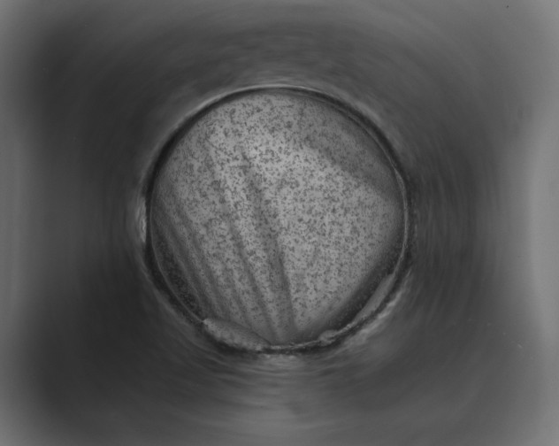 X0000089381509200706291307