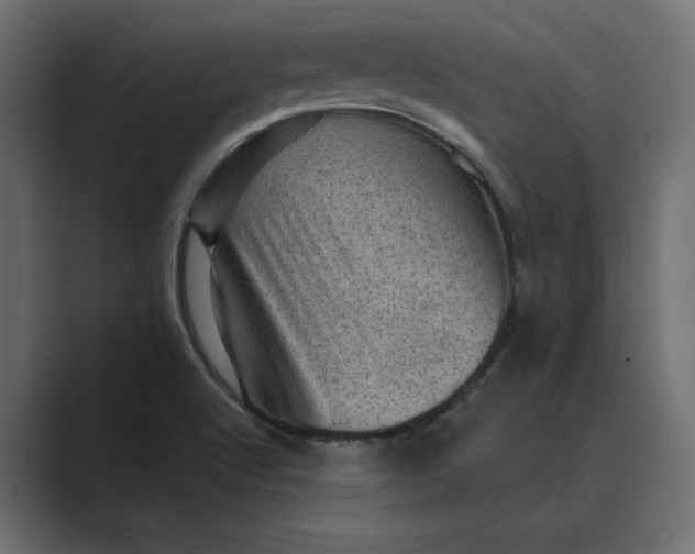 X0000089381512200706291307