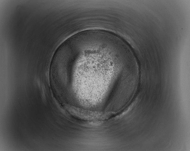 X0000089381513200706291307