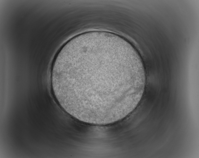 X0000089381514200706291307
