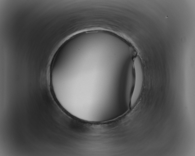 X0000089381516200706291307