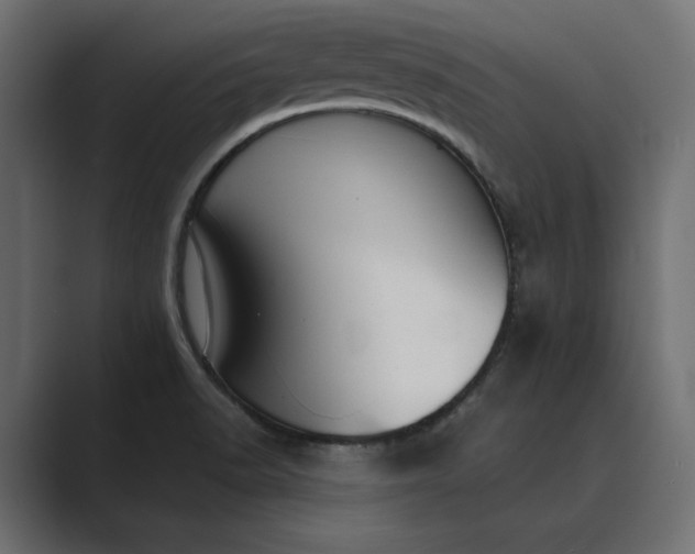 X0000089381518200706291307