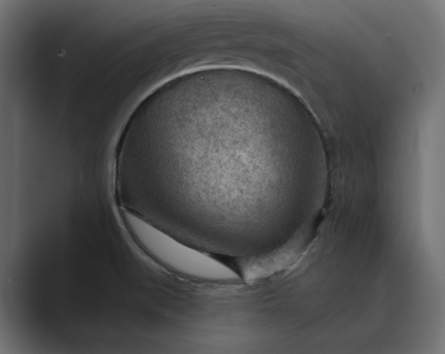 X0000089381519200706291307