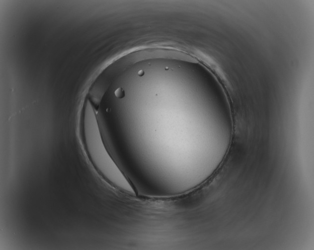 X0000089381520200706291307