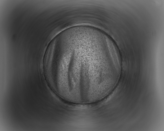 X0000089381521200706291307