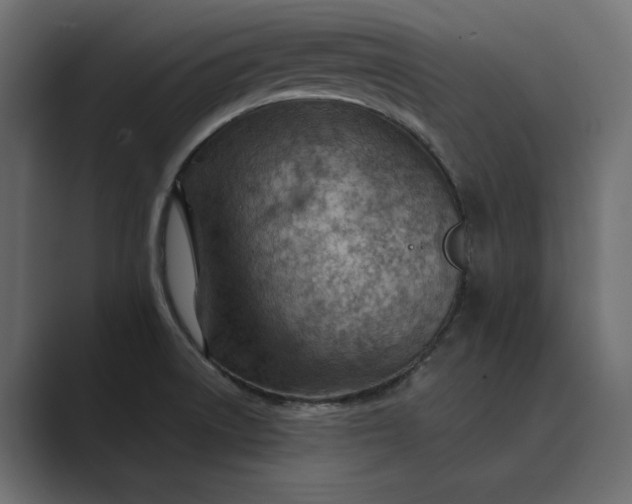 X0000089381522200706291307