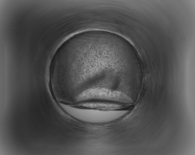 X0000089381523200706291307