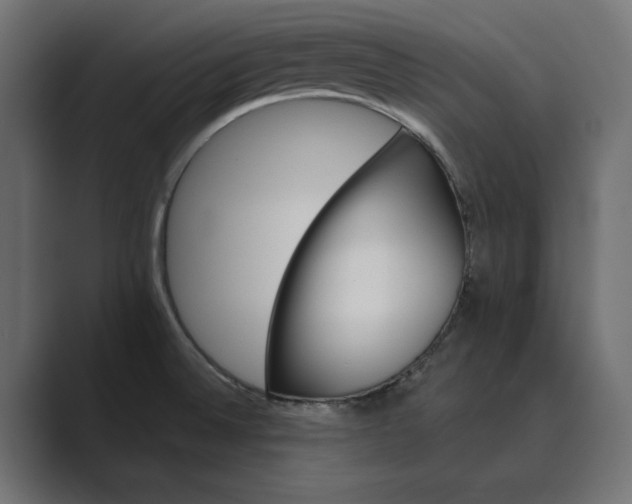 X0000089381524200706291307