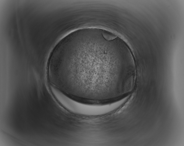 X0000089381525200706291308