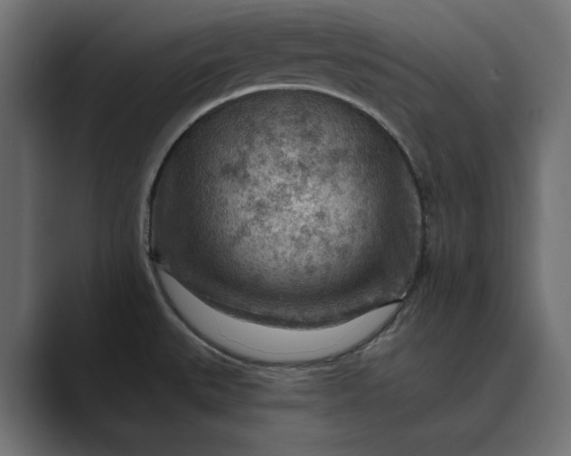 X0000089381527200706291308